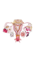 Womb Cleansing Pack